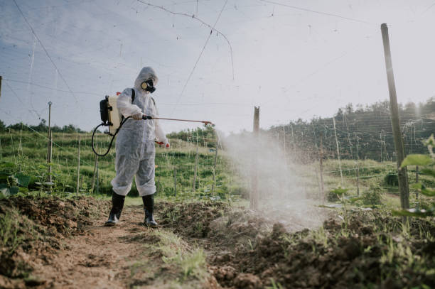 Best Best Pest Control Companies  in Gray, GA