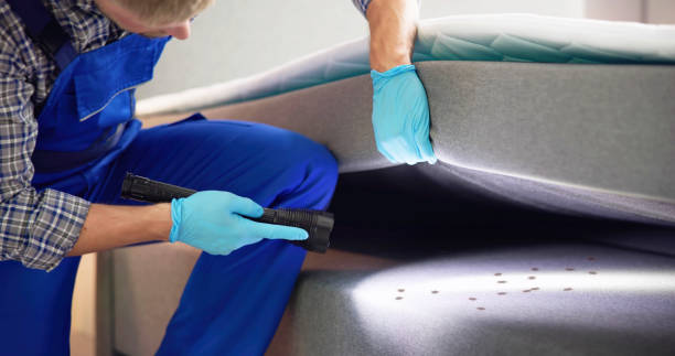 Best Flea Control Services  in Gray, GA