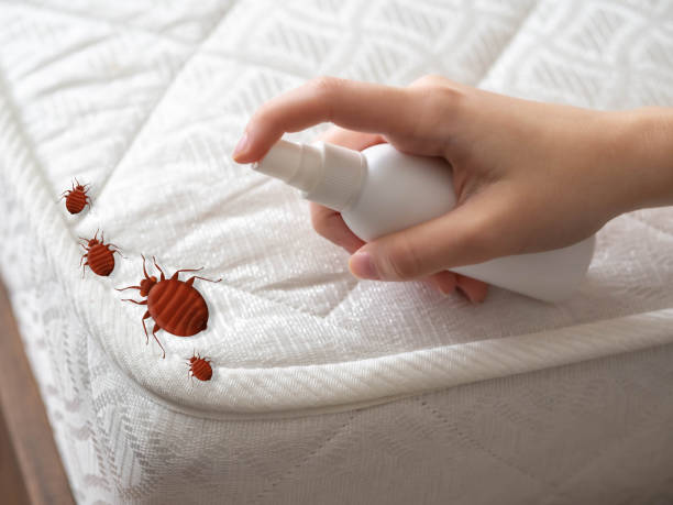Best Residential Pest Control  in Gray, GA