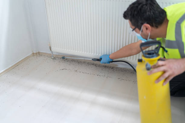 Best Emergency Pest Control  in Gray, GA